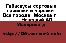 Гибискусы сортовые, прививки и черенки - Все города, Москва г.  »    . Ненецкий АО,Макарово д.